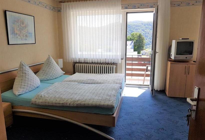 ペンション Ferienweinhaus Römer Knodt