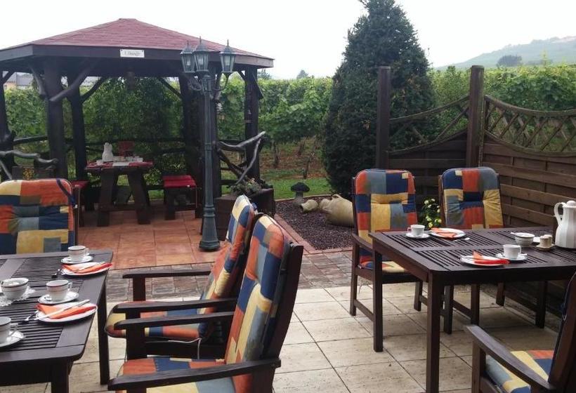 ペンション Ferienweinhaus Römer Knodt