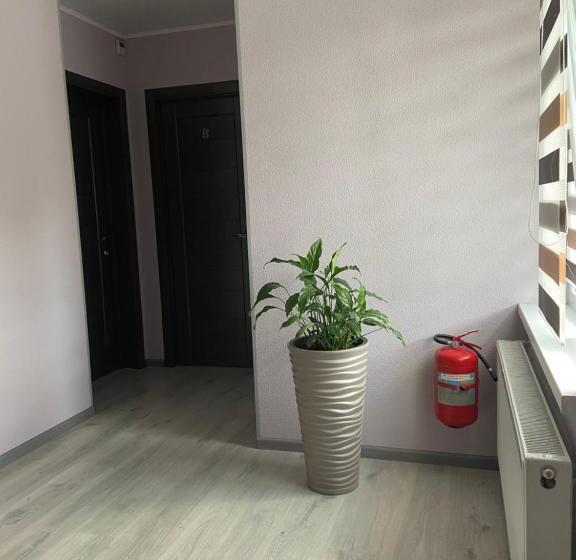 פנסיון Guest House Max