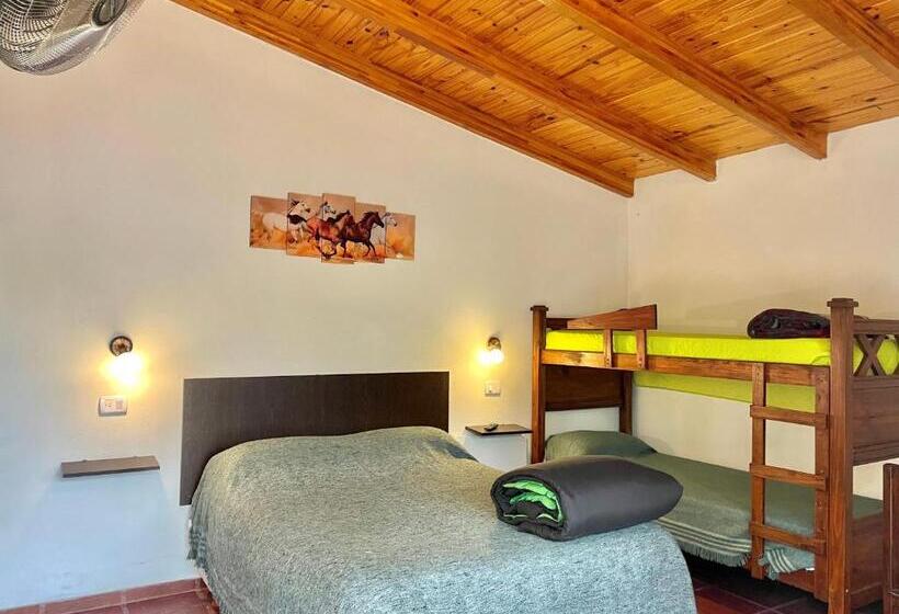 ペンション Hostal El Trébol   Tanti