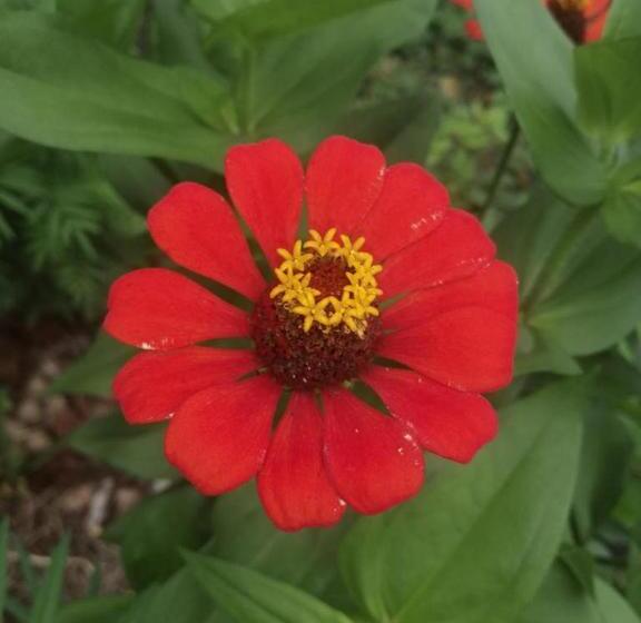 Общежитие Hostal Doble Vista