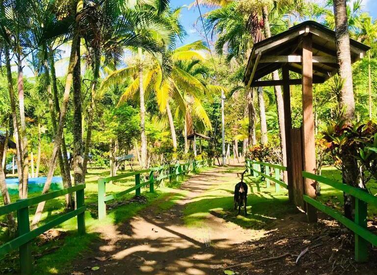 Общежитие Hostal Doble Vista