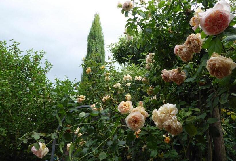 مبيت وإفطار Pension Zur Rose