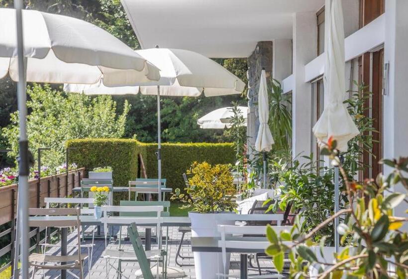 ホテル Hôtel Historique Chez Elsy   Crans Sapins