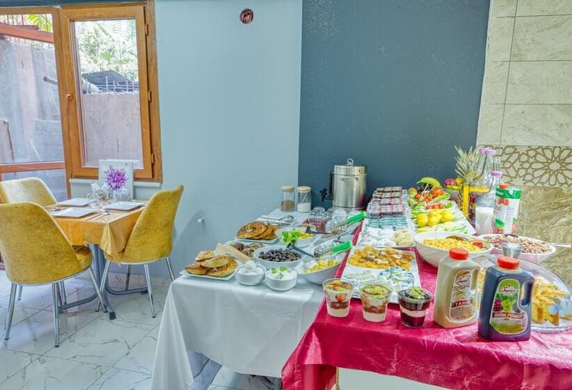 ホテル Garth Of Balat