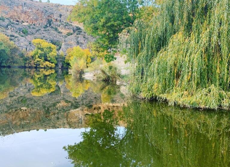 فندق Molino Grande Del Duratón