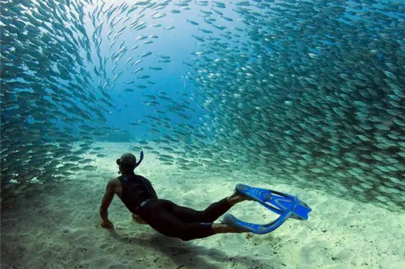 استراحتگاه Pawikan Boutique