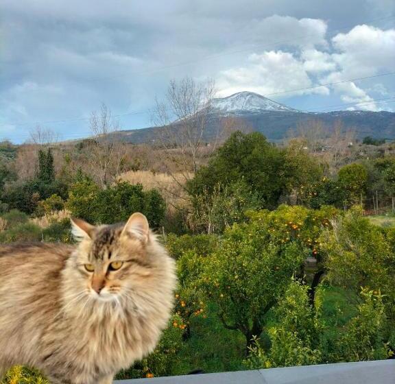 אתר נופש Vesuvio Inn Bed & Wine Experience