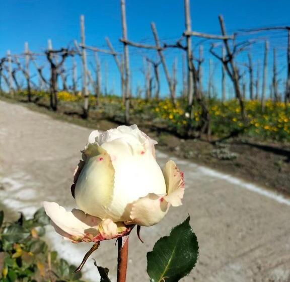 אתר נופש Vesuvio Inn Bed & Wine Experience