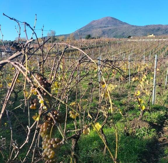 אתר נופש Vesuvio Inn Bed & Wine Experience