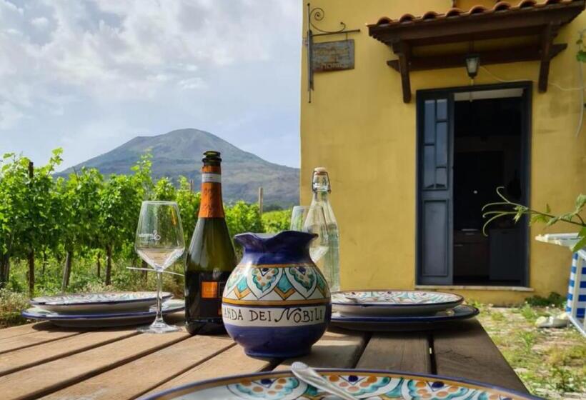 אתר נופש Vesuvio Inn Bed & Wine Experience