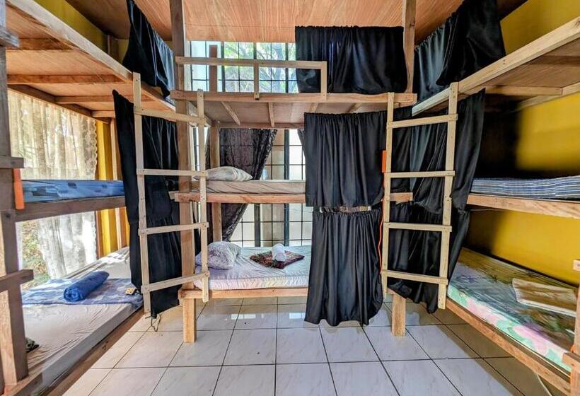 Screaming Gecko Hostel