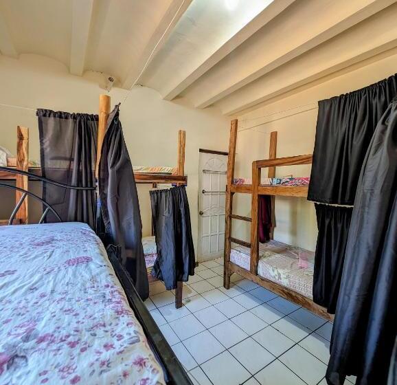 Screaming Gecko Hostel