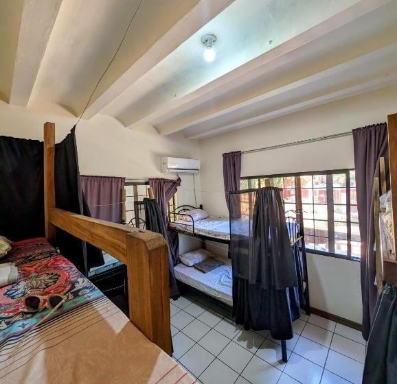 Screaming Gecko Hostel