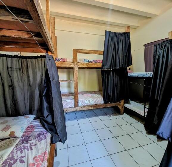 Screaming Gecko Hostel