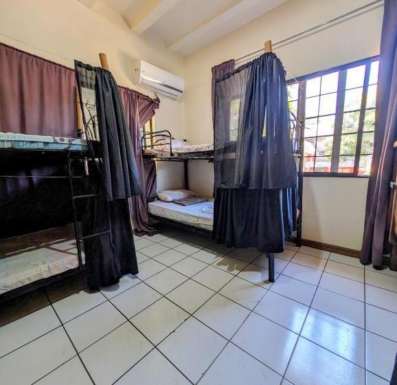 Screaming Gecko Hostel