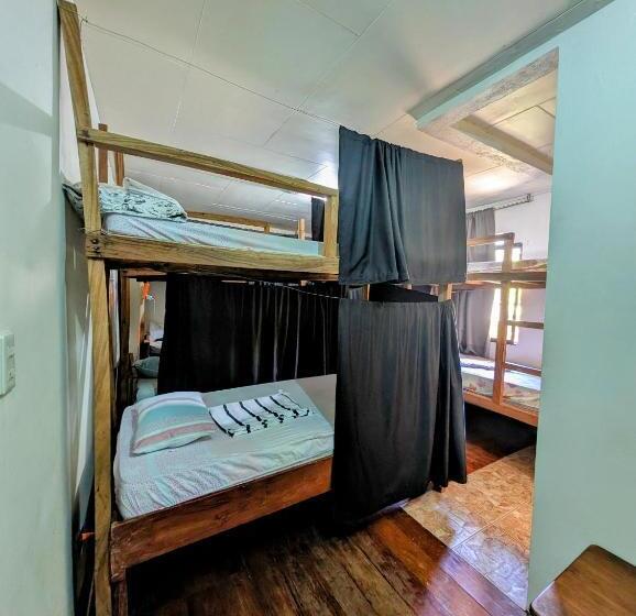 Screaming Gecko Hostel