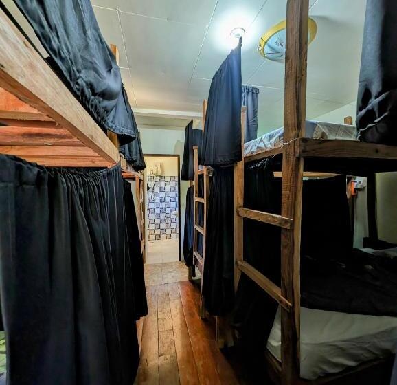 Screaming Gecko Hostel