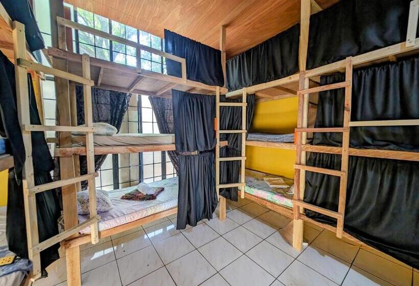 Screaming Gecko Hostel