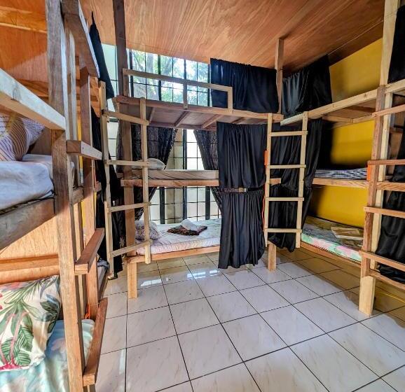 Screaming Gecko Hostel