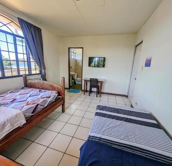 Screaming Gecko Hostel