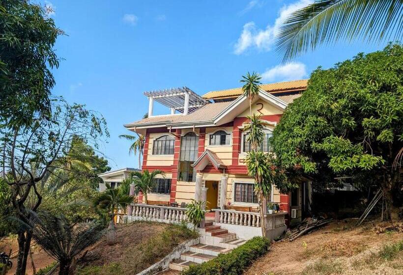 Screaming Gecko Hostel