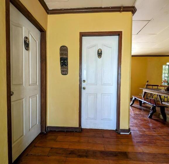 Screaming Gecko Hostel