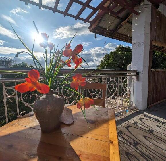 Screaming Gecko Hostel