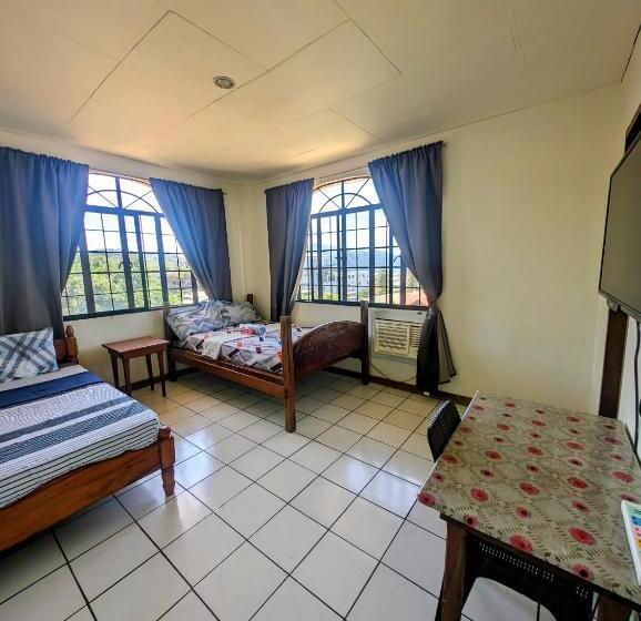 Screaming Gecko Hostel