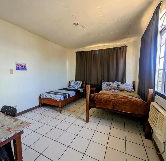 Screaming Gecko Hostel