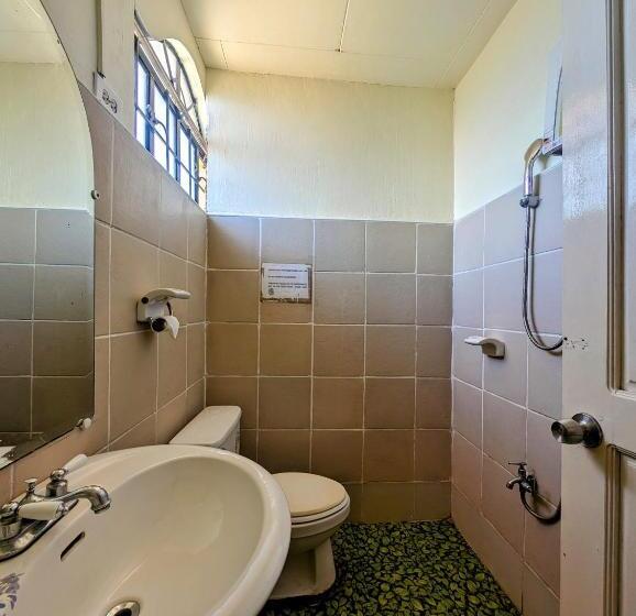 Screaming Gecko Hostel