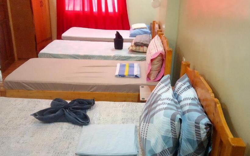 Screaming Gecko Hostel