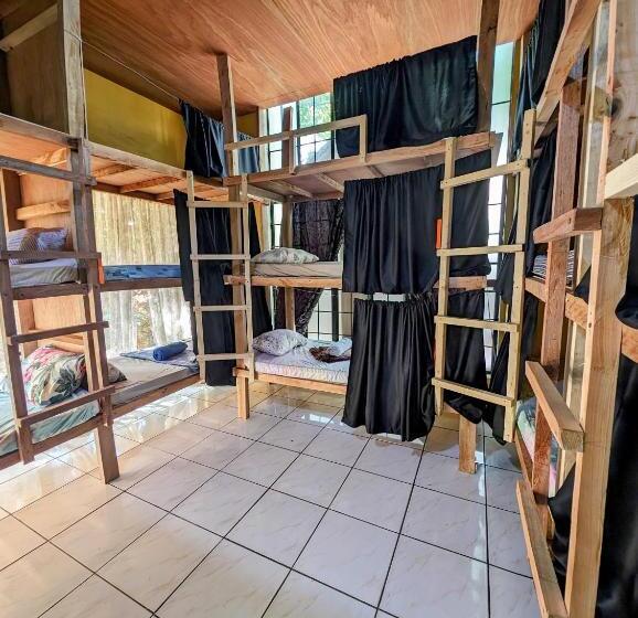 Screaming Gecko Hostel