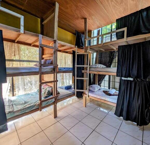 Screaming Gecko Hostel