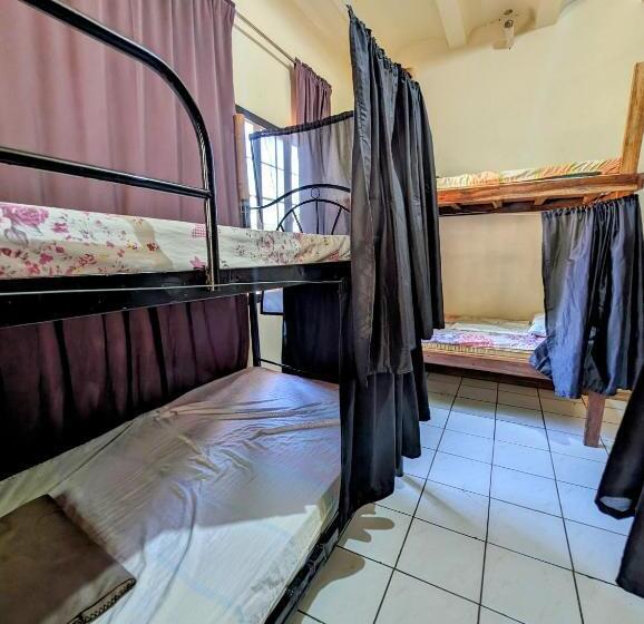 Screaming Gecko Hostel