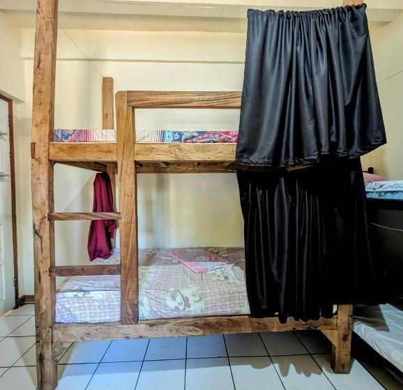 Screaming Gecko Hostel