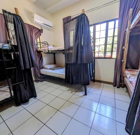 Screaming Gecko Hostel