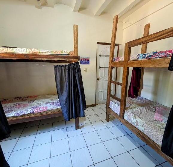 Screaming Gecko Hostel