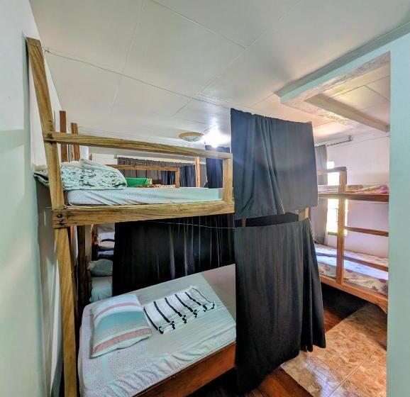 Screaming Gecko Hostel