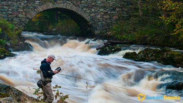 Torreby Slott Hotel & Golf