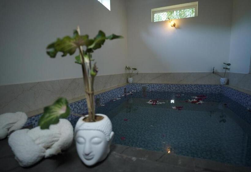 Отель Amar Bagh Resort