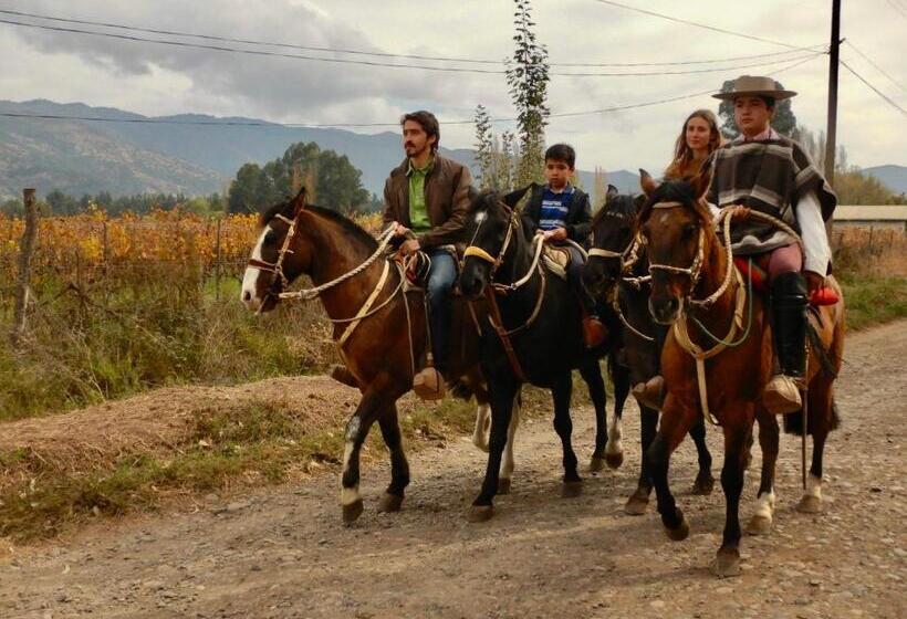 ホテル Boutique Raíces De Colchagua