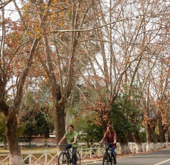 ホテル Boutique Raíces De Colchagua