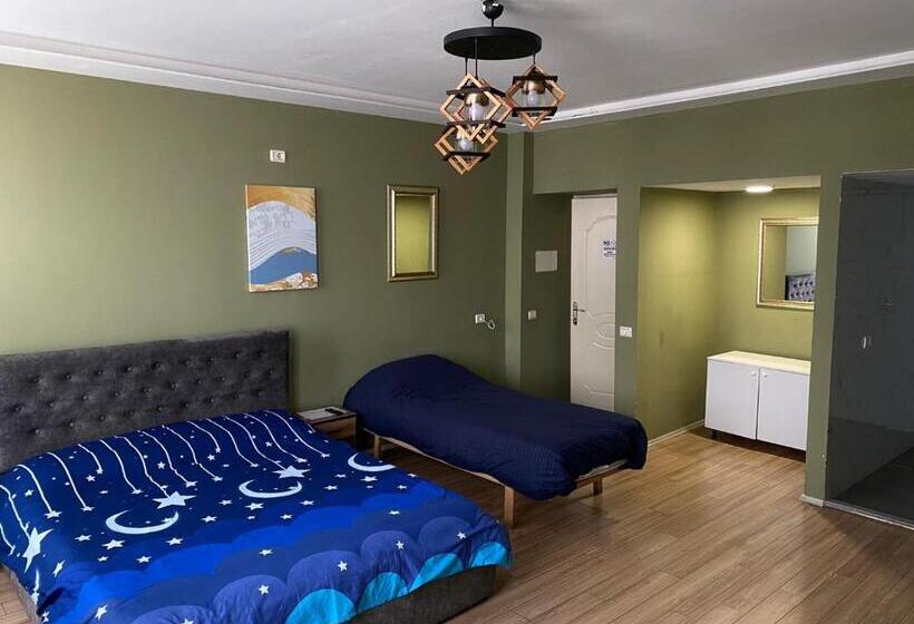 酒店 Driti Central