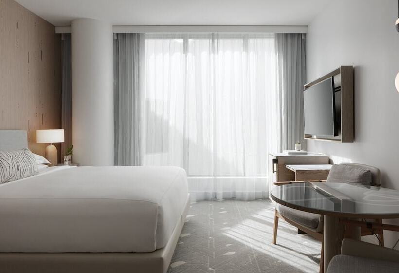Kimpton   Hotel Palomar South Beach, An Ihg