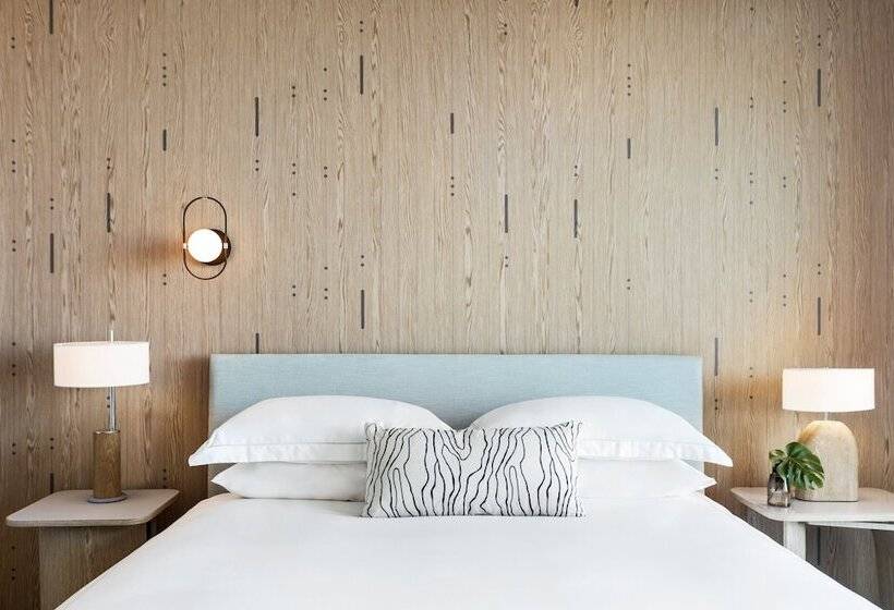 Kimpton   Hotel Palomar South Beach, An Ihg