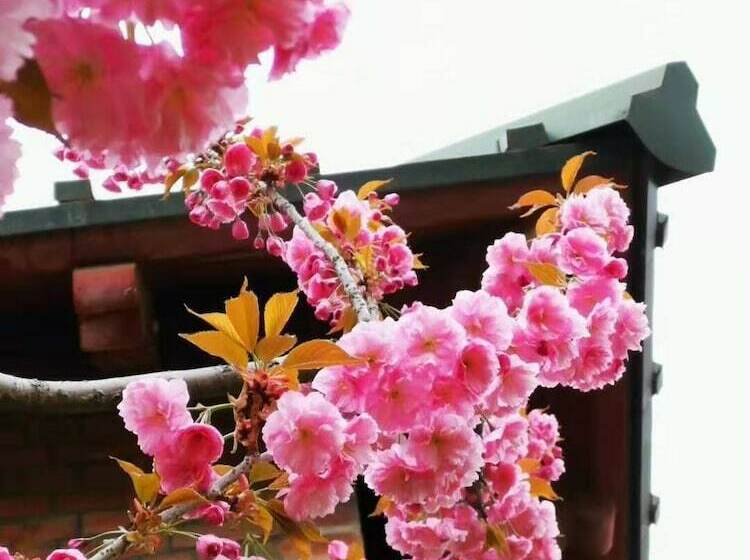 ホテル Railway 1896 Garden