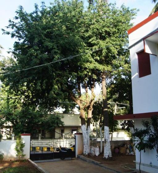 Pension (Hôtel basse catégorie) Cornerbunker