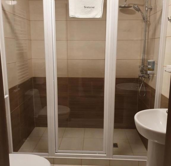 پانسیون Svetainė