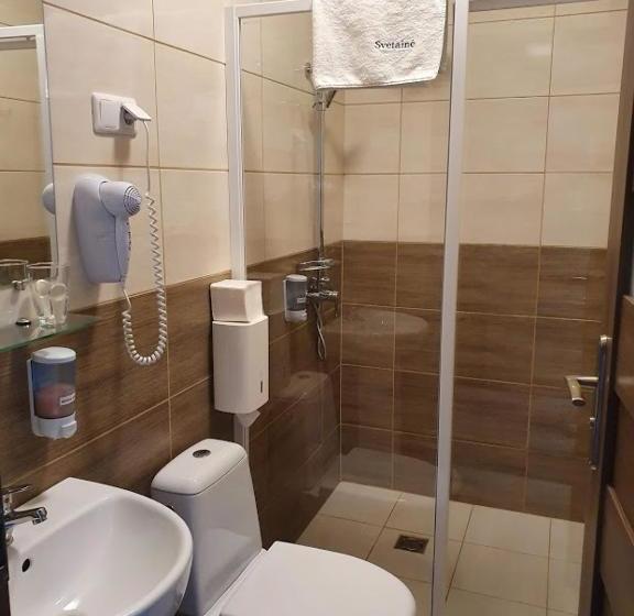 پانسیون Svetainė